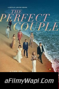 The Perfect Couple (2024) Hindi Web Series