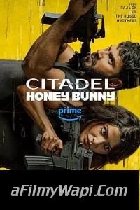 Citadel Honey Bunny (2024) Hindi Web Series