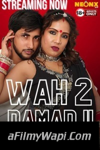 Wah Damad Ji 2 (2024) NeonX Hindi Short Film